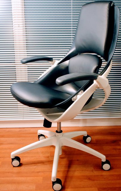 Backstrong Chair Reviews 5